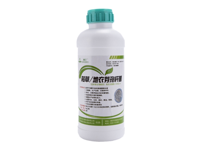 枯草地衣復(fù)合芽孢桿菌